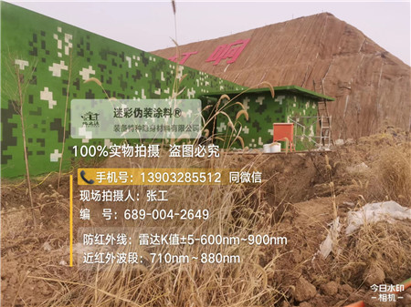 鸡西星空迷彩墙施工队